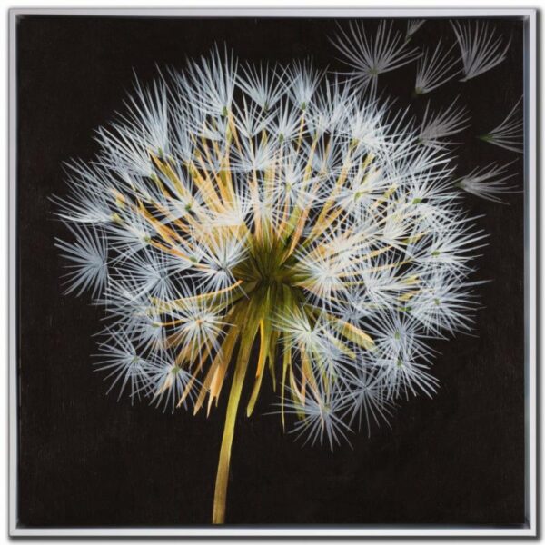 Make a Wish