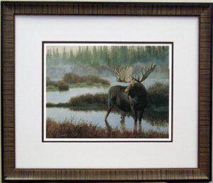 Misty Morning Moose