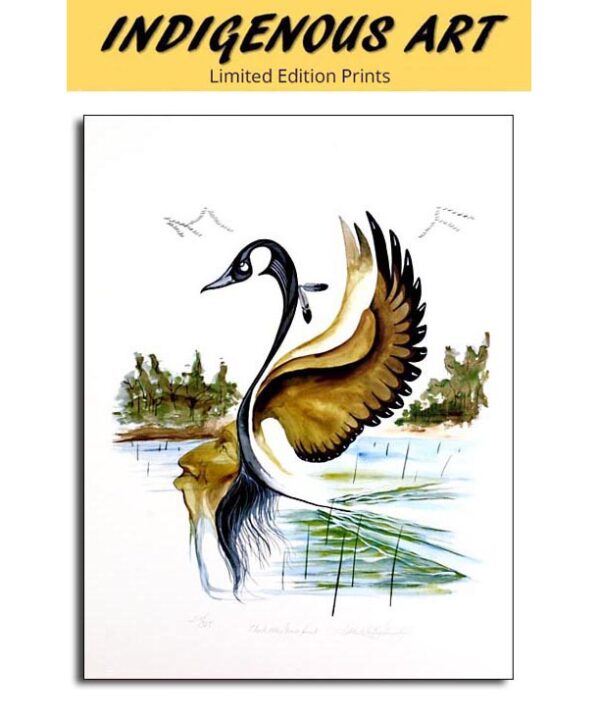 Robert Kakaygeesick - The Water Goose Spirit