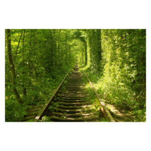 Tunnel of Love
