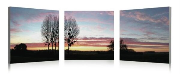 Sunset Colors