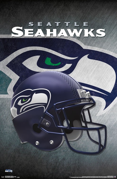 Seattle Seahawks Helmet 16