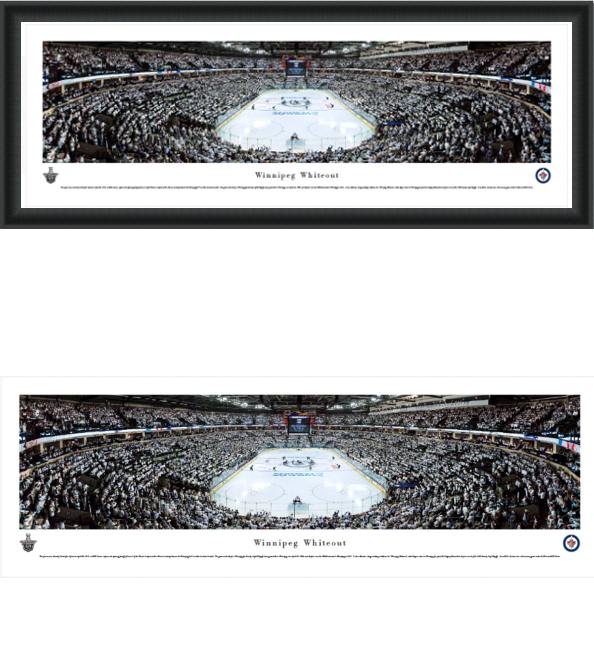 Winnipeg Jets Whiteout Panorama 2015