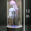 12" Jellyfish LED Lamp  *temporarily unavailable* - Image 2
