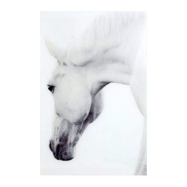 Natures Beauty 1