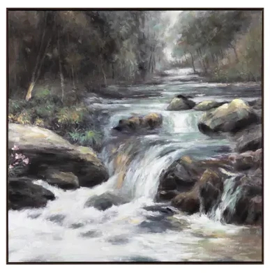 Rapids 1