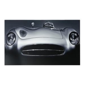 Gullwing Portrait