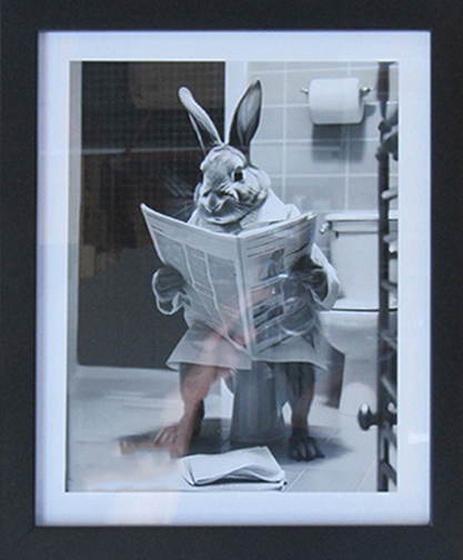 Rabbit Reading Newspaper
