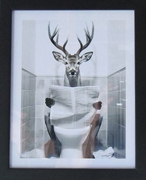 Deer Reading