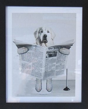 Dog reading