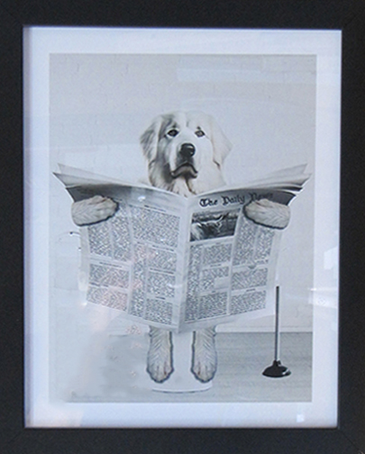 Dog reading