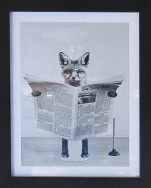 Fox