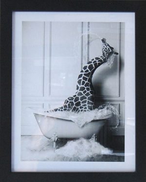 Giraffe in Bath