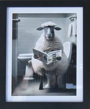 Lamb