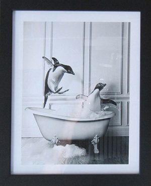 Penguins in Tub