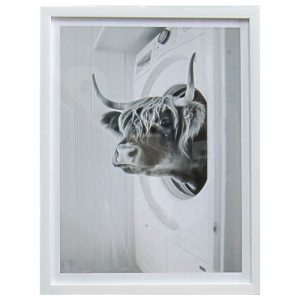 Cow in Dryer