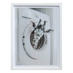 Giraffe in Washing Machine
